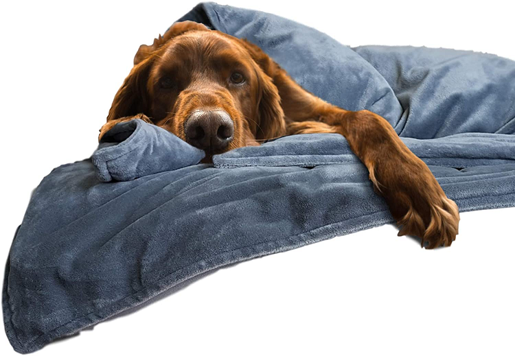 Canine Coddler The Original Weighted Dog Blanket