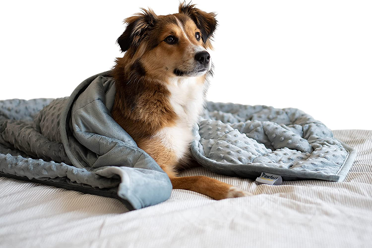 Pawfect Blanket Weighted Dog Blanket