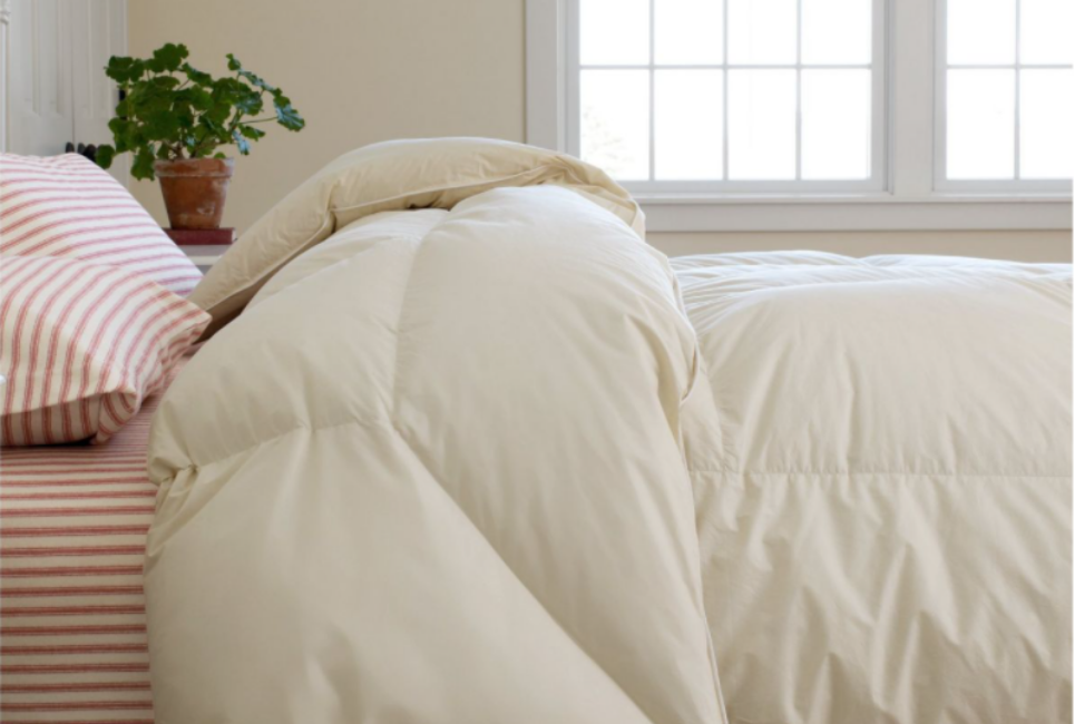 Best Cream Comforter Ideas
